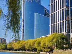 -三里屯东五街银杏大道