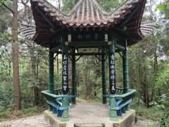 -潜山国家森林公园
