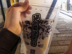 -猫的魔法密林(衣裳街店)