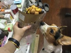 -桂桂茶(恒基名人店)