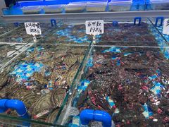 -小海丁