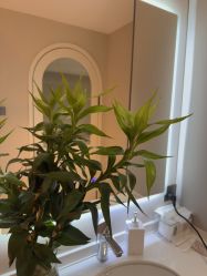 -柯莲娜医学美容