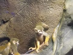 -哈尔滨波塞冬海底世界