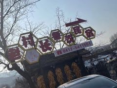 -老村长农家院