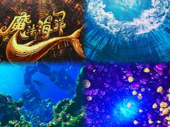 -海合安青岛极地海洋公园