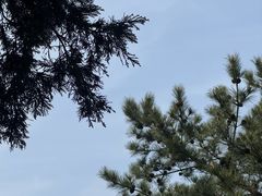 -大钟寺古钟博物馆