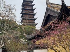 -常熟方塔园