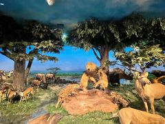 -国家自然博物馆