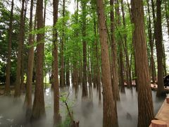 -东湖落雁景区