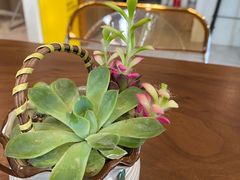 -Fridi Patisserie Cafe