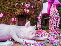 -青岛方特梦幻王国