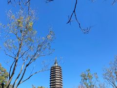 -西海子公园
