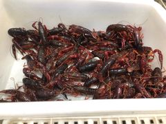 -渔乐圈海鲜餐厅(群力金江路店)