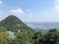 -东莞观音山旅游风景区