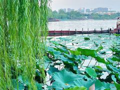 -济南大明湖景区