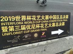 -荷兰花海