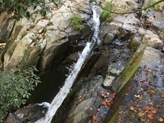 -藏龙百瀑风景区