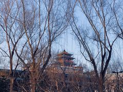 -莲花池公园