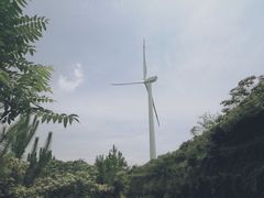 -合肥滨湖国家森林公园