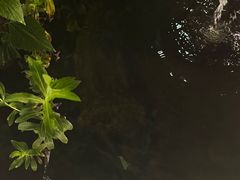 -邛海景风火盆烧烤(大石板古村二分店)