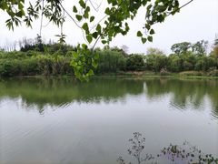 -白鹭湾湿地公园