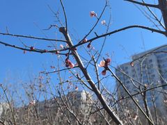 -元大都城垣遗址公园