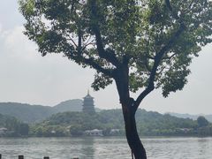 -杭州西湖柳莺里酒店·闻莺厅