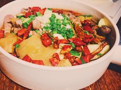 钉螺煲-铂米星座(瑞安店)