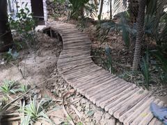 -呀路古热带植物园