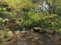 -杭州半山国家森林公园