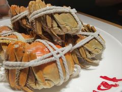 -杨氏青龙虾·羊蝎子(金盛路总店)
