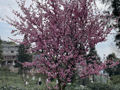 -魔指传奇足疗保健SPA(牛市口店)