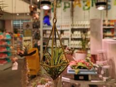 -KKV(深圳kk one 店)