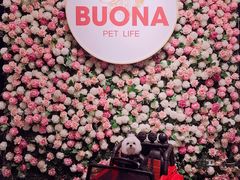 -百好乐宠物友好餐厅(朝外大街店)