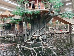 -南宫五洲植物乐园