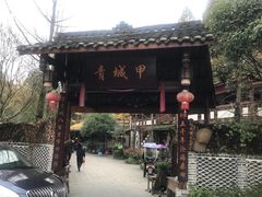 -青城甲(青城山店)