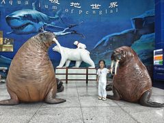 -蓬莱欧乐堡海洋极地世界