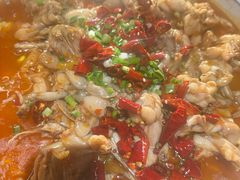 -美蛙四季(亦庄店)