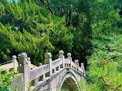 -上海醉白池公园