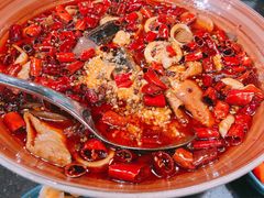 精品毛血旺-华豫川酒家(大卫城店)