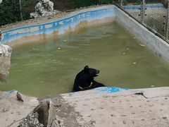 -成都动物园