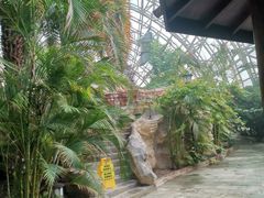 -盛泰恐龙谷温泉