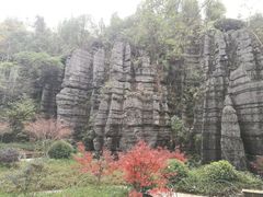 -梭布垭石林景区