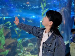 -海合安武汉极地海洋公园