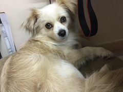 -零几体验diy皮具工作室(振业城店)