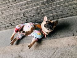 -DC大蔡婚礼策划(李公堤店)