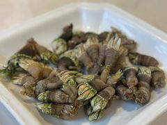 九爪螺-万山楼海鲜酒家·二十三年老字号