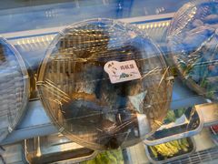 -鲜菌江湖正宗野生菌火锅