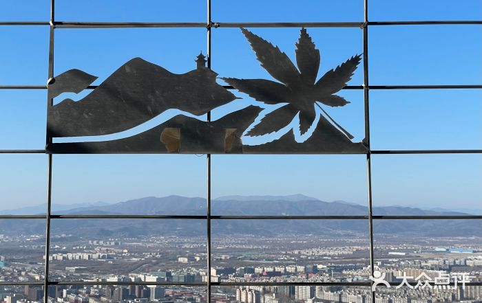 中央广播电视塔图片