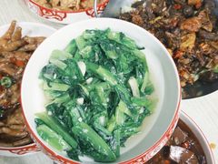 -英子家庭菜馆(系马桩店)